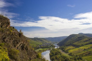 Almanya 'daki Moselle Nehri, Calmont köyü manzarası ve Almanya' daki Mosel Nehri vadisinde üzüm bağları.