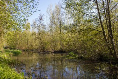 Almanya 'nın Aşağı Ren Bölgesi, Issum' daki Alman kırsal arazisi