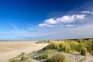 Kum tepeleri, Renesse, Zeeland, Hollanda