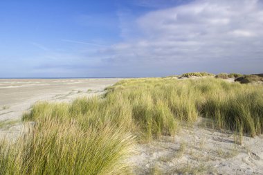 Kum tepeleri, Renesse, Zeeland, Hollanda