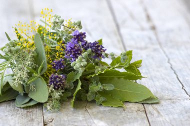 Ahşap arka planda taze toplanmış otlar.