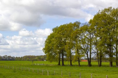 Alman kırsal alanı, Aşağı Ren Bölgesi