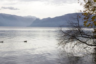 Gmunden, Yukarı Avusturya, Avusturya 'daki Toscana Parkı' ndan görülen Traunsee Gölü ve Alpler