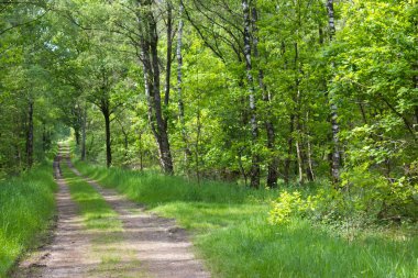 Alman kırsal alanı, Aşağı Ren Bölgesi, Almanya