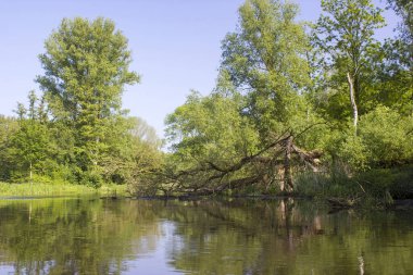 Niers Nehri, Aşağı Ren Bölgesi, Almanya