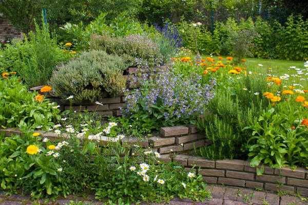 трава спираль в саду со свежими травами и цветами