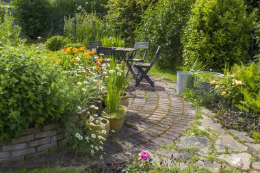 Bahçedeki bitki sarmalı taze bitkiler ve çiçeklerle dolu.