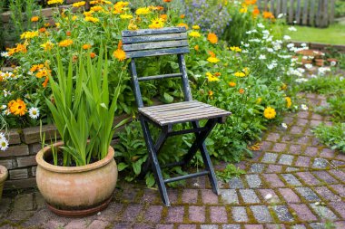 Vahşi bahçe. Bahçedeki bitki sarmalı. Taze bitkiler, çiçekler ve eski sandalyeler.