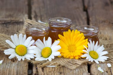 bal bir çiçek - calendula ve papatyalar