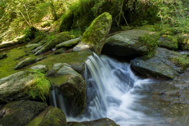 Ormandaki bir kayanın üzerinde küçük bir şelale - Ehrbachklamm geçidinde yürüyüş 