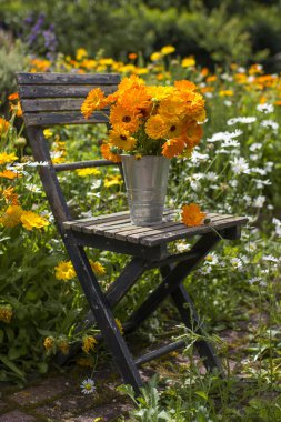 Güzel taze yaz çiçekleri Sandalyede bir kovada