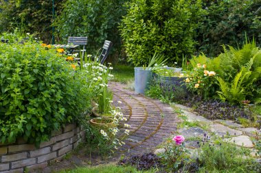 Bahçedeki bitki sarmalı taze bitkiler ve çiçeklerle dolu.