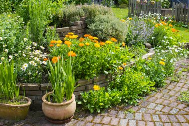 Bahçedeki bitki sarmalı taze bitkiler ve çiçeklerle dolu.