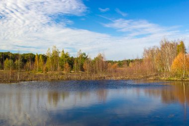 Landscape in the National Park Maasduinen in the Netherlands clipart