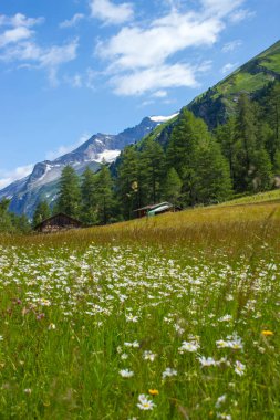 Avusturya Alpleri 'ndeki manzara. Grossglockner' ın etrafındaki yüksek Higt Tauern dağları. Avusturya.