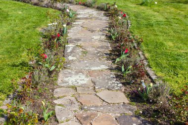  Taş döşeli bahçe yolu ve çiçekler - laleler ve güller