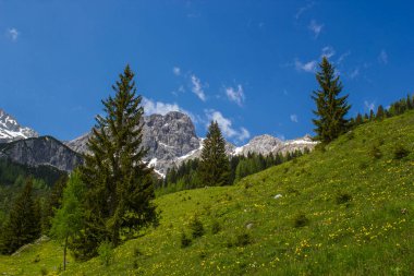 Dachstein bölgesinin Avusturya Alplerinde (Avusturya 'da Styria) manzara)