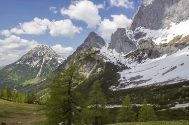 Devasa Alp dağlarının manzarası. Dachstein bölgesinin Avusturya Alplerinde (Avusturya 'da Styria) manzara)