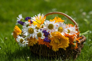 Güzel taze yaz çiçekleri hasır sepetin içinde bahçede