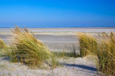 Kum tepeleri, Renesse, Zeeland, Hollanda