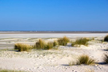 Kum tepeleri, Renesse, Zeeland, Hollanda