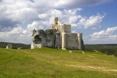 Ortaçağ şatosu Mirow 'un kalıntıları - Polonya' da Bobolice 'de Kartal Yuvası Yolu