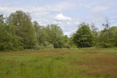 Alman kırsal alanı, Aşağı Ren Bölgesi, Almanya