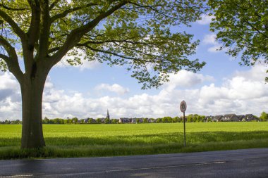 Alman kırsal alanı, Aşağı Ren Bölgesi