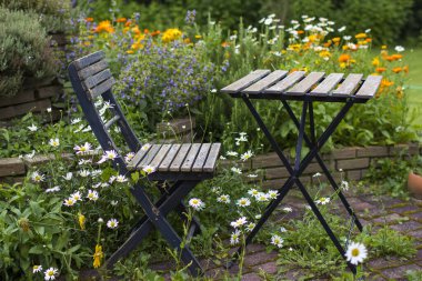 Vahşi bahçe - bahçedeki bitki sarmalı taze bitkiler ve çiçekler, masa ve sandalye