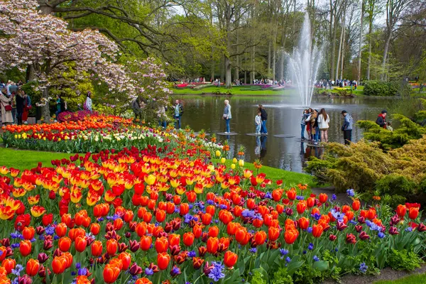 KEUKENHOF, LISSE, NETHERLANDS: 20 Nisan 2025; Turistler Keukenhof parkında yürüyor ve renkli çiçeklerin tadını çıkarıyorlar.
