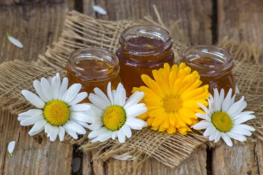 bal ve çiçekler - calendula ve papatyalar