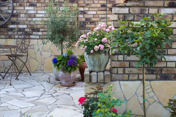 Akdeniz tarzında bahçede güzel bir yer. Çiçekli saksılar.