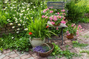 Bahçedeki bitki sarmalı taze bitkiler ve çiçeklerle dolu.