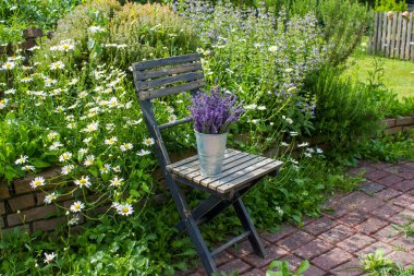Bahçedeki bitki sarmalı taze bitkiler, çiçekler ve lavantalı eski sandalye.