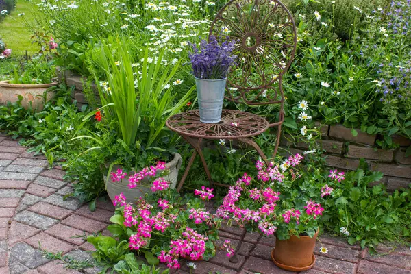 Bahçedeki bitki sarmalı taze bitkiler, çiçekler ve lavantalı eski sandalye.