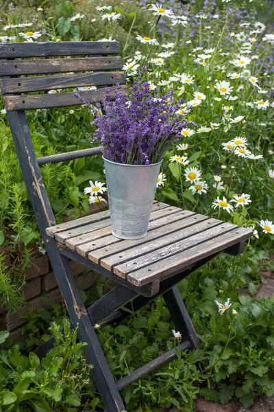 Sandalyedeki vazoda duran güzel lavanta çiçekleri.