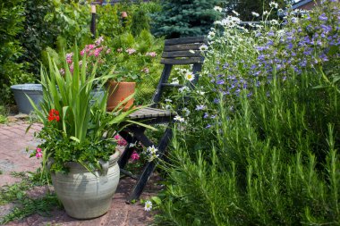 Bahçedeki bitki sarmalı taze bitkiler ve çiçeklerle dolu.