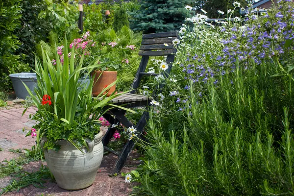 Bahçedeki bitki sarmalı taze bitkiler ve çiçeklerle dolu.