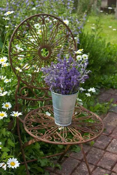 Sandalyedeki vazoda duran güzel lavanta çiçekleri.