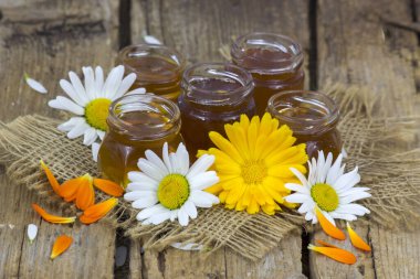 bal ve çiçekler - calendula ve papatyalar