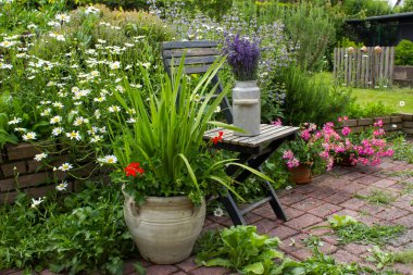 Bahçedeki bitki sarmalı taze bitkiler, çiçekler ve lavantalı eski sandalye.