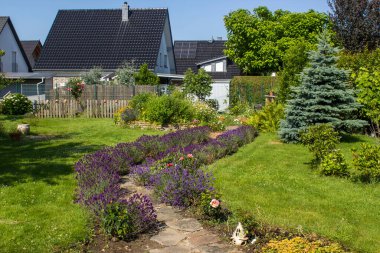 Kırsal bahçe - Çiçekler ve bitki sarmalı taş döşeli bahçe yolu - yaz mevsimi