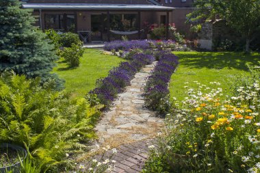 rustik bahçe - taş döşeli bahçe yolu ve çiçekler ve yeşil bitkiler