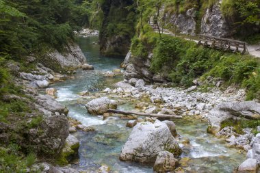 Tolminska Korita - Tolmika dağı nehri. Tolmin vadileri, Triglav Ulusal Parkı, Slovenya