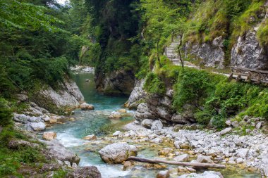 Tolminska Korita - Tolmika dağı nehri. Tolmin vadileri, Triglav Ulusal Parkı, Slovenya