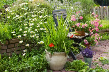 Bahçedeki bitki sarmalı taze bitkiler ve çiçeklerle dolu.