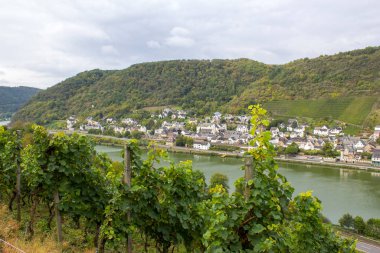 Almanya 'nın Rhineland-Palatinate kentindeki Moselle nehri ile Treis-Karden şehri manzarası