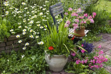 Bahçedeki bitki sarmalı taze bitkiler ve çiçeklerle dolu.