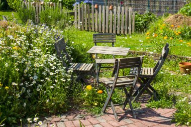 Bahçedeki bitki sarmalı taze bitkiler ve çiçeklerle dolu.