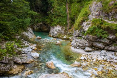Tolminska Korita - Tolmika dağı nehri. Tolmin vadileri, Triglav Ulusal Parkı, Slovenya